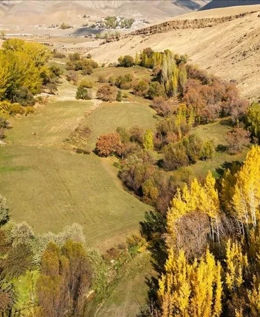 Van Ovaları