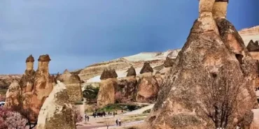 vandokya