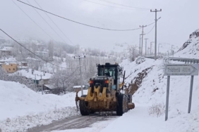 Van ve Hakkari