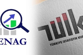 tüik-enag yıllık enflasyon