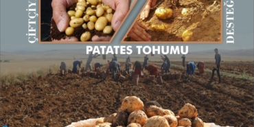 tohum desteği