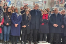 Dem Parti eş genel başkanları