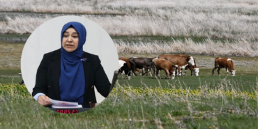 gülderen varlı