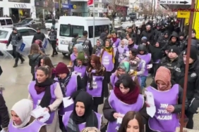 Van 8 Mart mitingi